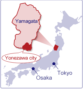 Yonezawa city