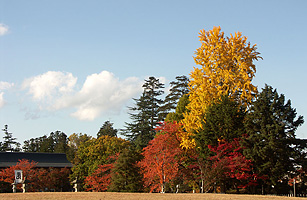 Matsugasaki Park