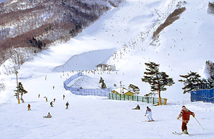 쿠리코(栗子) 국제 스키장1
