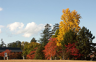 松岬公園